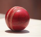 Cricket Clubs in Basingstoke