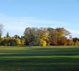 Parks in Basingstoke in Basingstoke