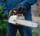 Tree Surgeon in Basingstoke