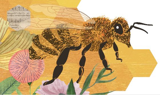 bees-hampshires-hive-of-history-and-nature
