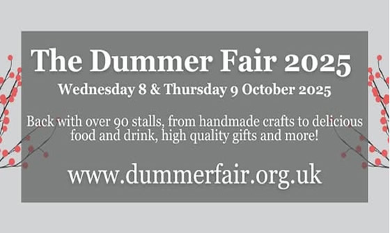 Dummer Fair 2025