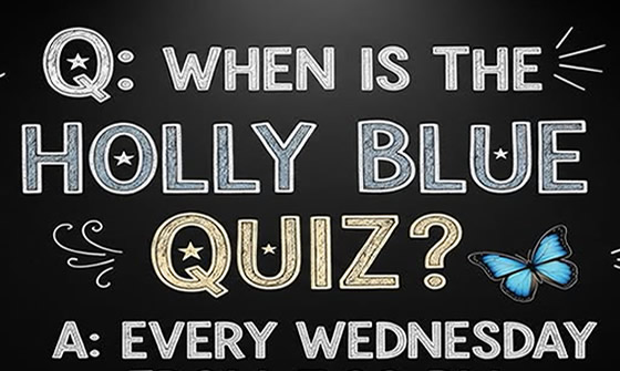 The Holly Blue Quiz in Basingstoke