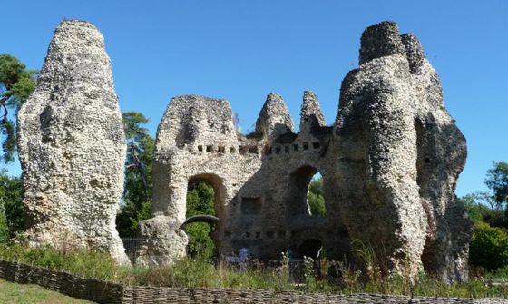 odiham-castle